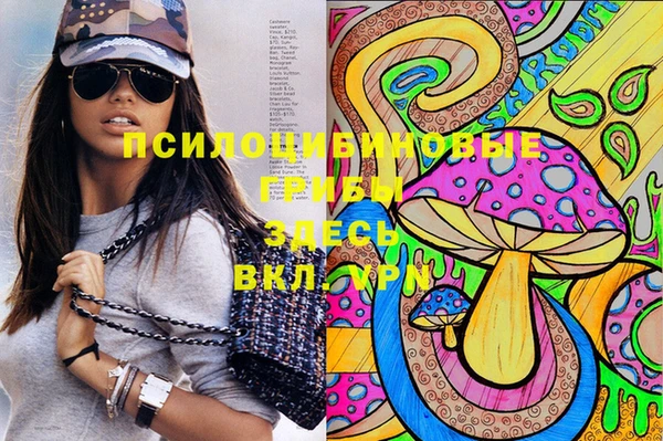 мдпв Ростов